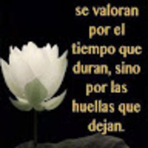 Meet your Posher, Luisa